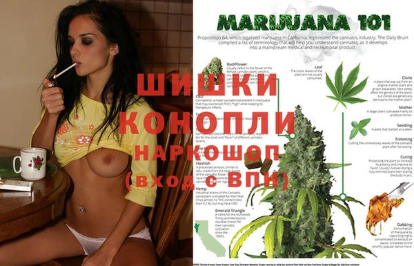 винт Белокуриха