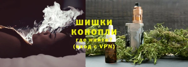 винт Белокуриха