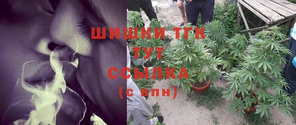 твердый Сосновоборск
