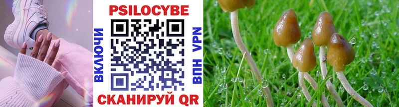 Псилоцибиновые грибы мухоморы  Будённовск 